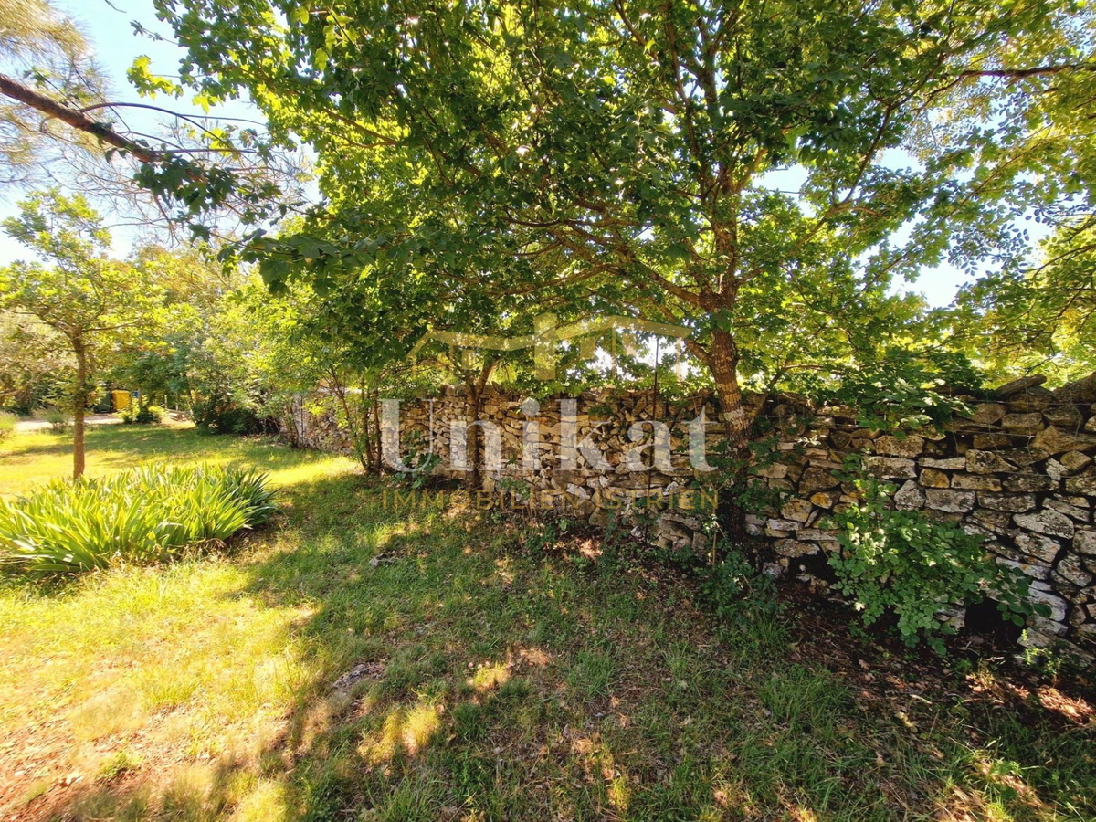 Avtentično posestvo s kamnito hišo in velikim zemljiščem